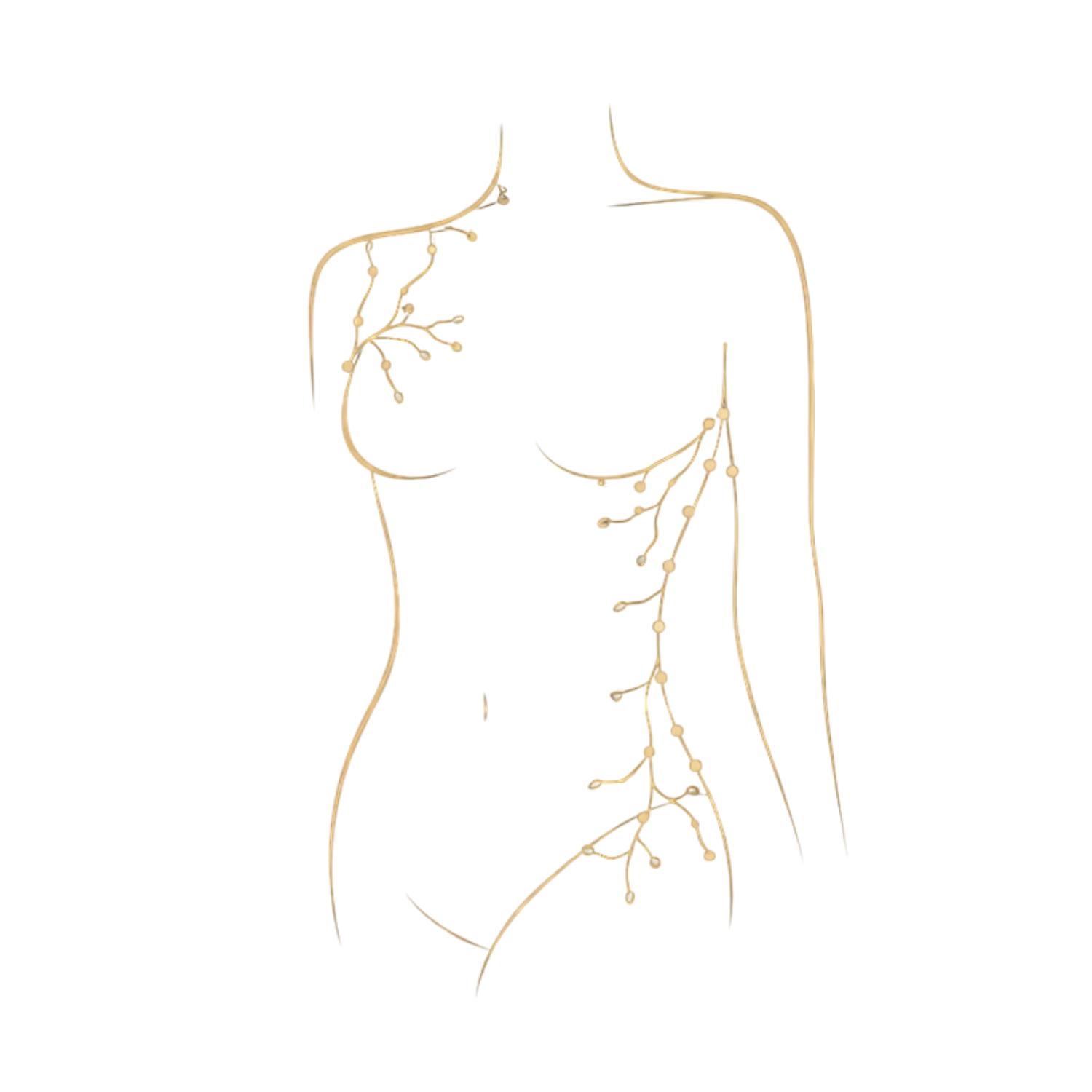 BODY LAB™ – AKTYWACJA 4-6 tyg.